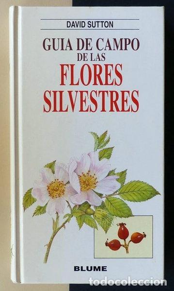 Libros: Gu&iacute;a de Campo de Las Flores Silvestres- 9788487535864