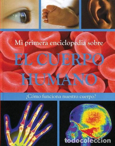 Libri di seconda mano: El cuerpo humano- 9781407556536
