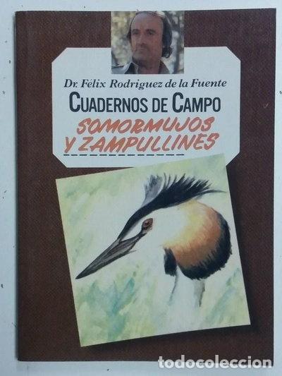 Livres: Cuadernos de Campo, 40. Somormujos y zampullines- 9788471025401