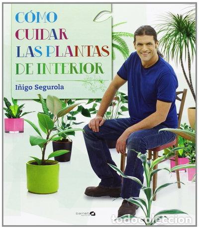 Livros em segunda m&atilde;o: C&oacute;mo cuidar las plantas de interior- 9788496177758