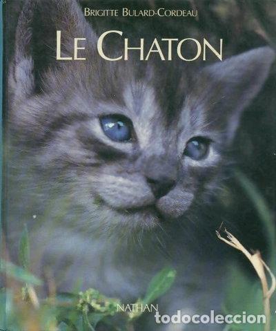 Livros em segunda m&atilde;o: Le chaton- 9782092784426