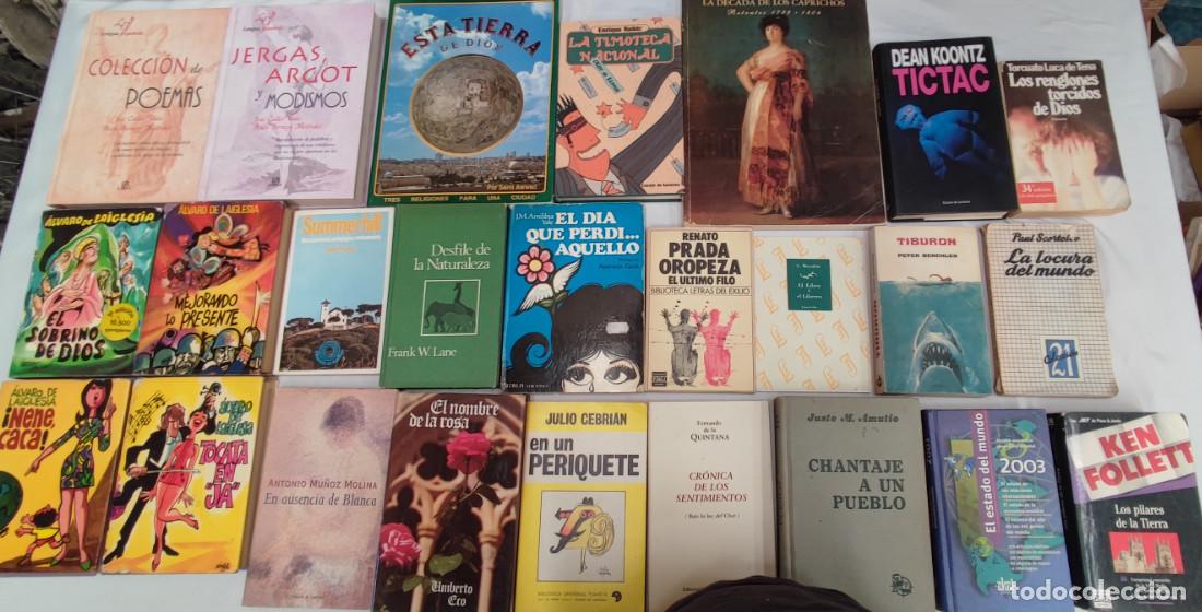 Libros: LOTE DE 25 LIBROS DE DIFERENTES TEMAS - Foto 1