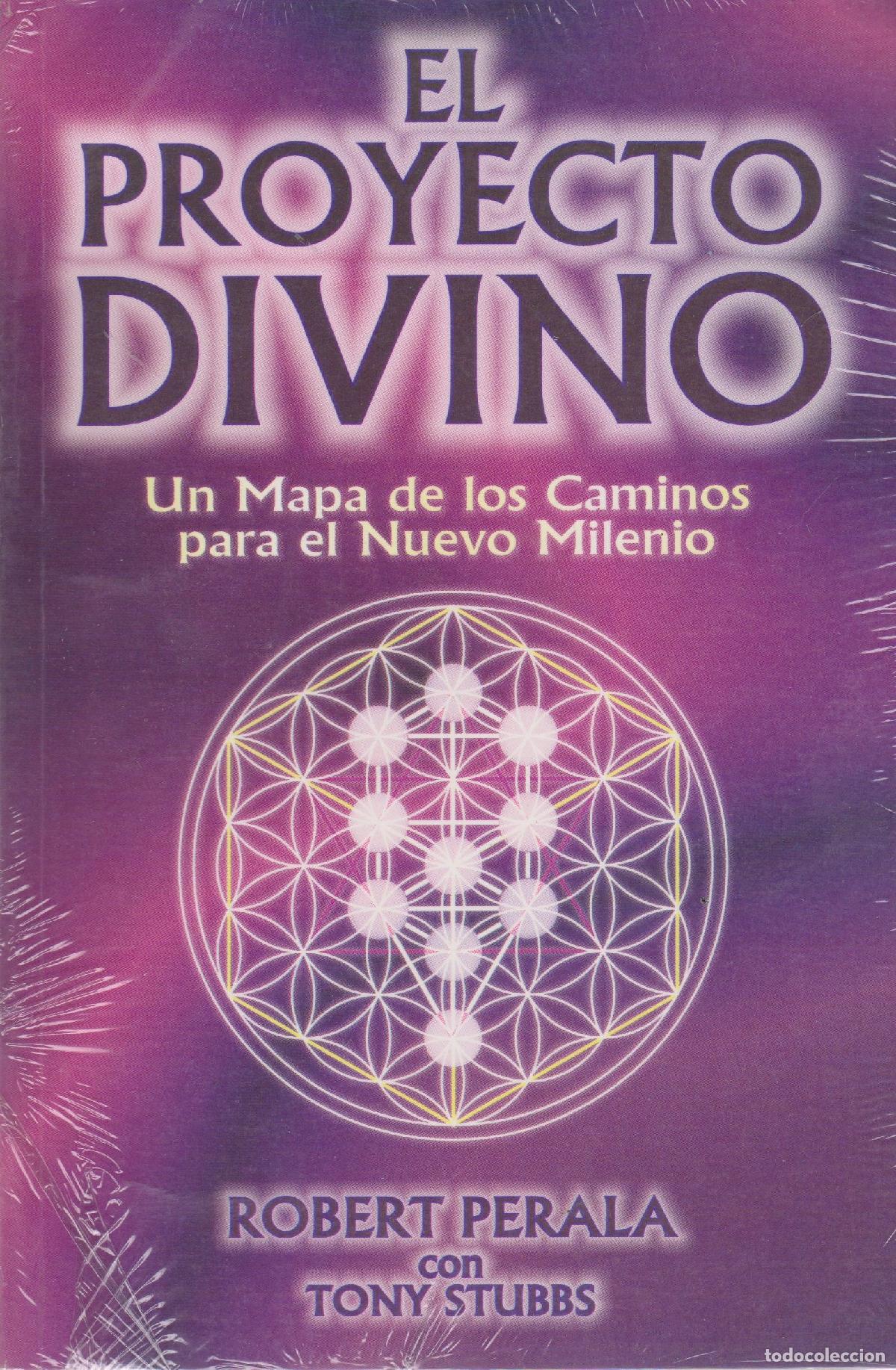 Libros: El proyecto divino/ The divine project - Foto 1