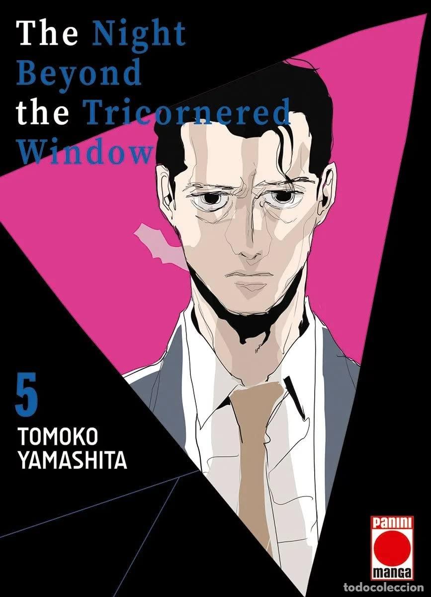 books: The Night Beyond The Tricornered Window 5