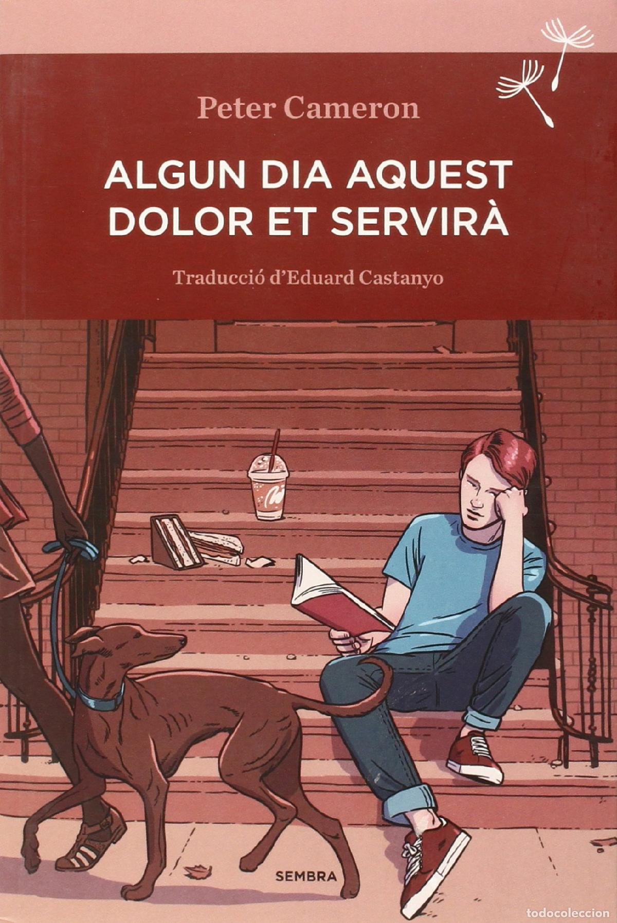 Libros: Algun dia aquest dolor et servir&agrave; (SEMBRA LLIBRES) - Foto 1