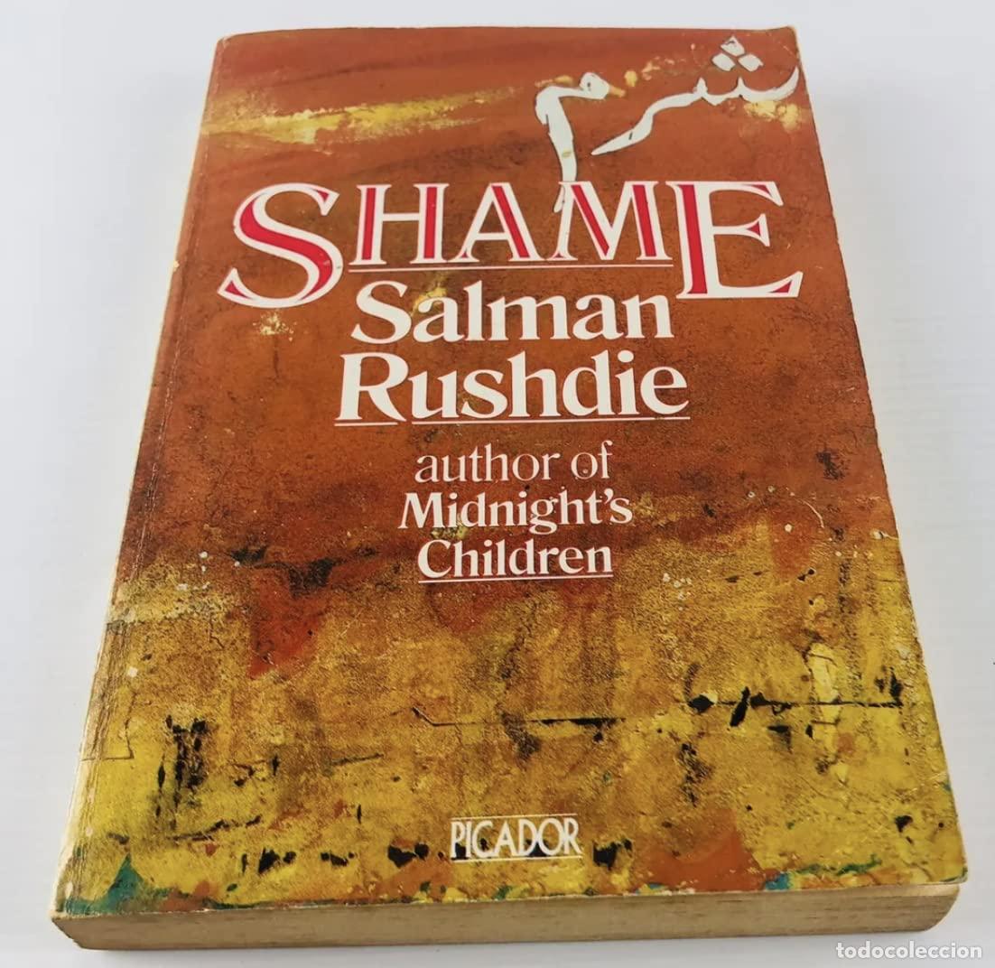 Libros: Shame (Picador Books)
