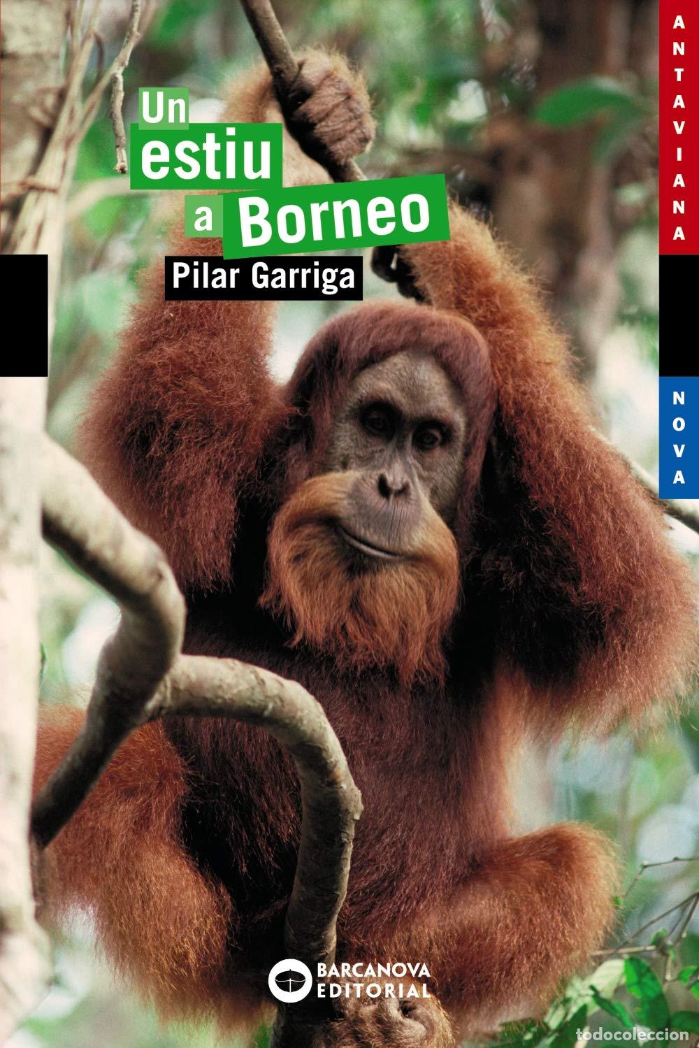 B&uuml;cher: Un estiu a Borneo (Llibres infantils i juvenils - Antaviana - Antaviana Blava)