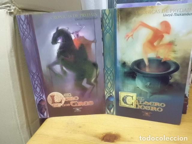 Libros: EL CABALLERO NEGRO CR&Oacute;NICAS DE PRYDAIN Lloyd Alexande