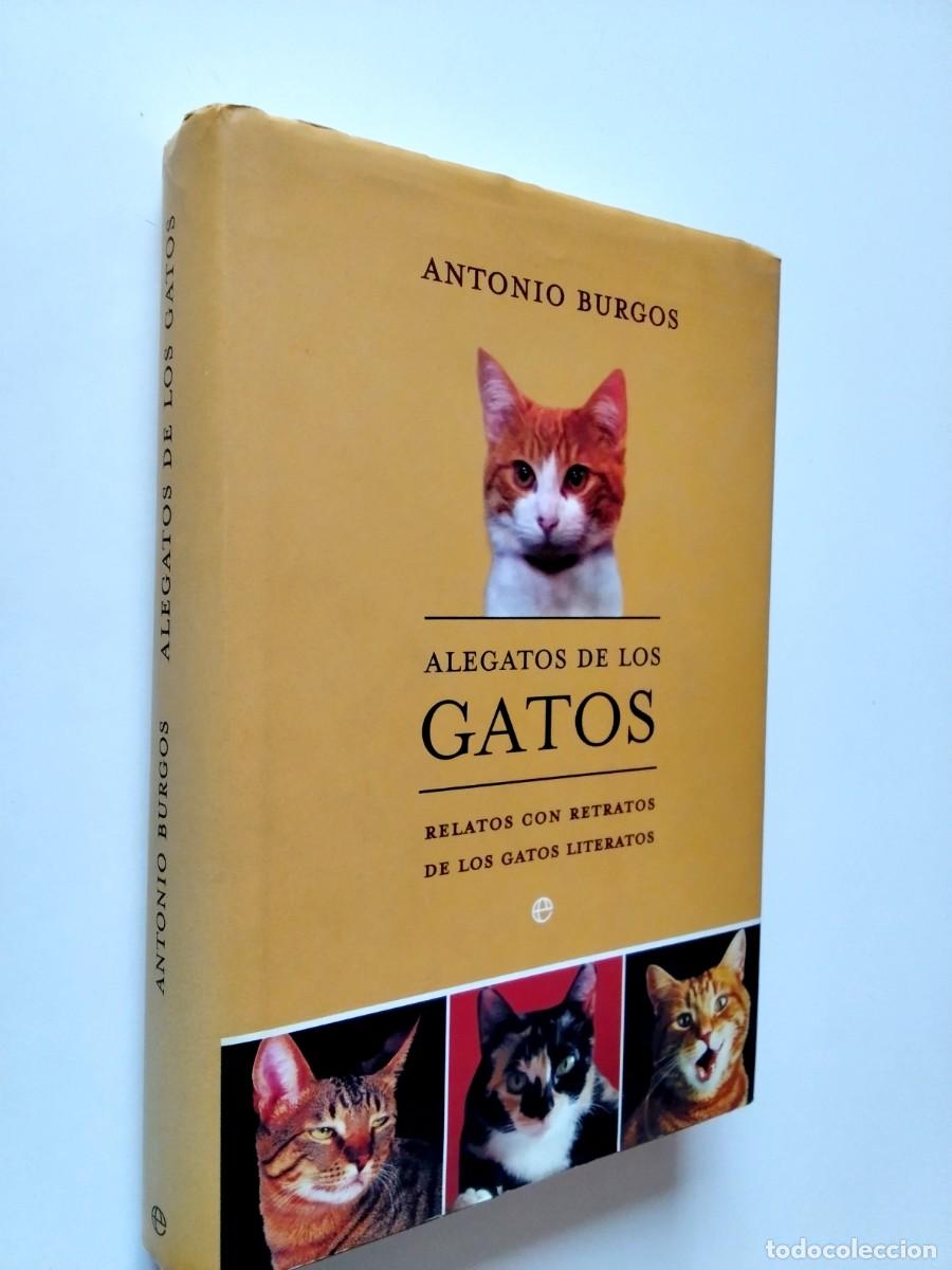 books: Antonio Burgos - Alegatos de los gatos. Relatos con retratos de los gatos literarios