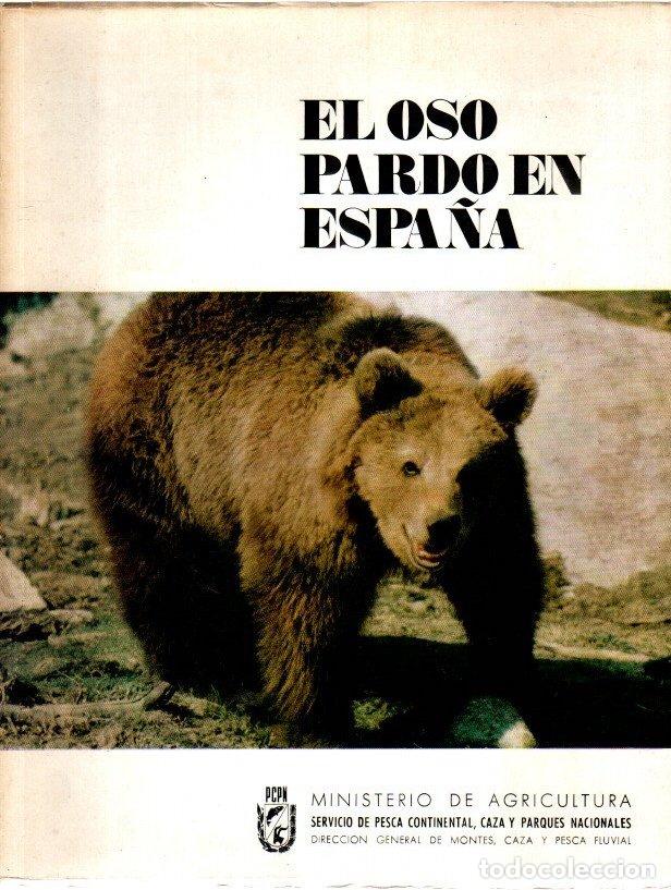 B&uuml;cher: El oso pardo en Espa&ntilde;a - Notario, Rafael