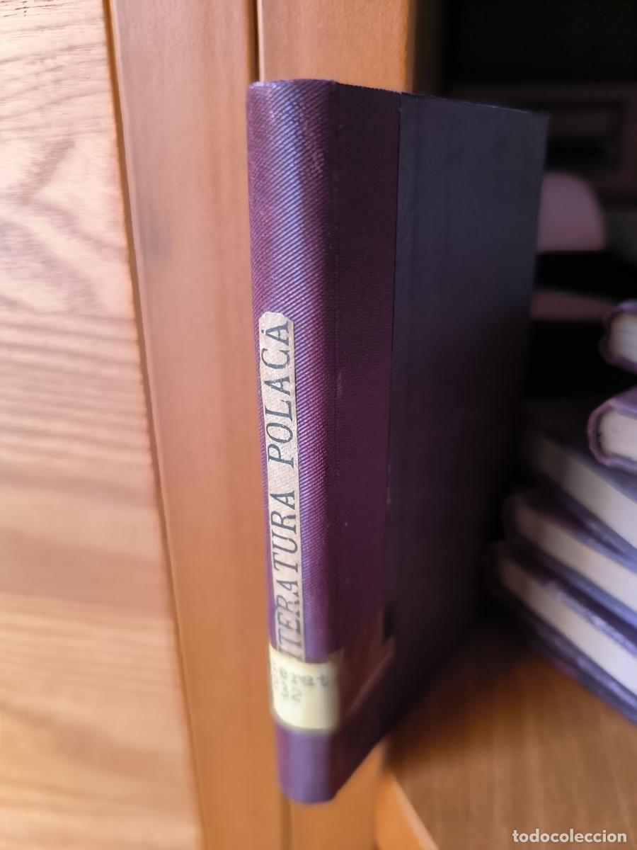 Libros: Literatura polaca. Colecci&oacute;n Todas las literaturas - tdk412