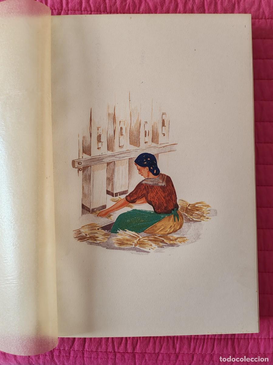 Libros: EL ESPARTO Y SU ECONOM&Iacute;A (1950) - Foto 7