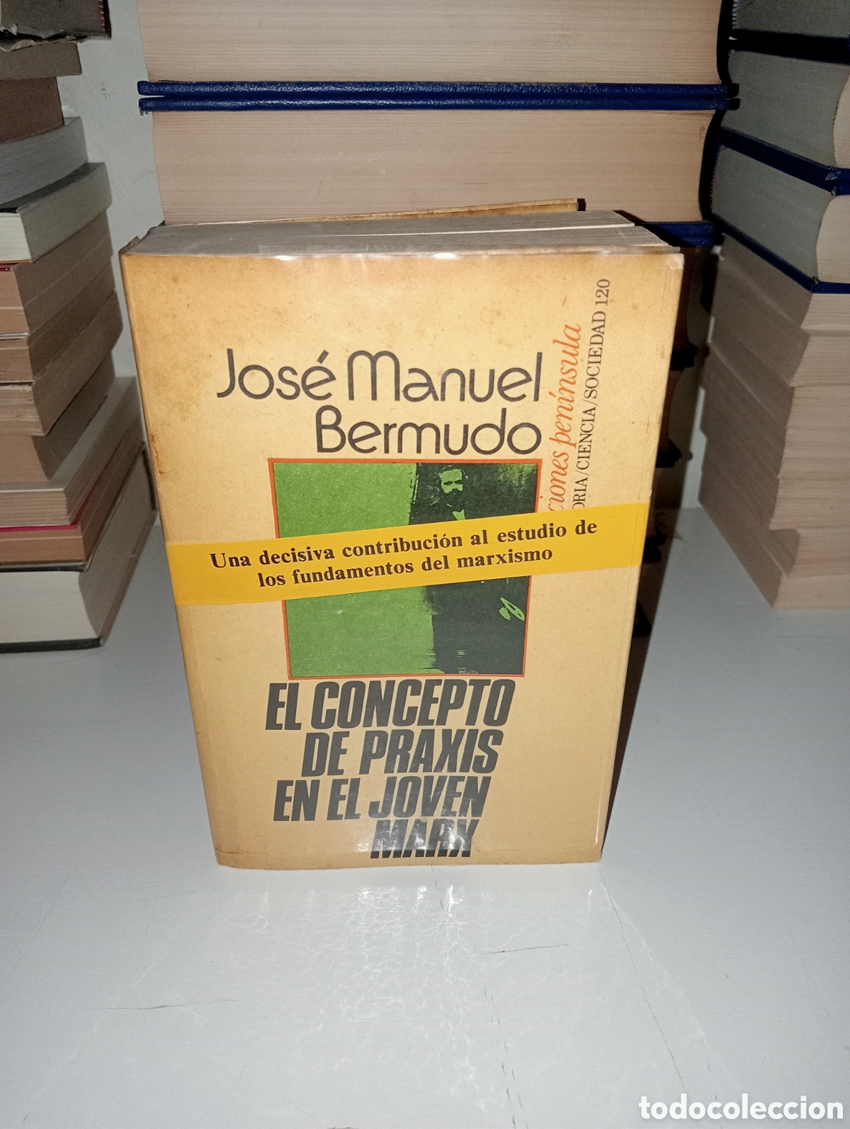Libros: El concepto de praxis en el joven Marx