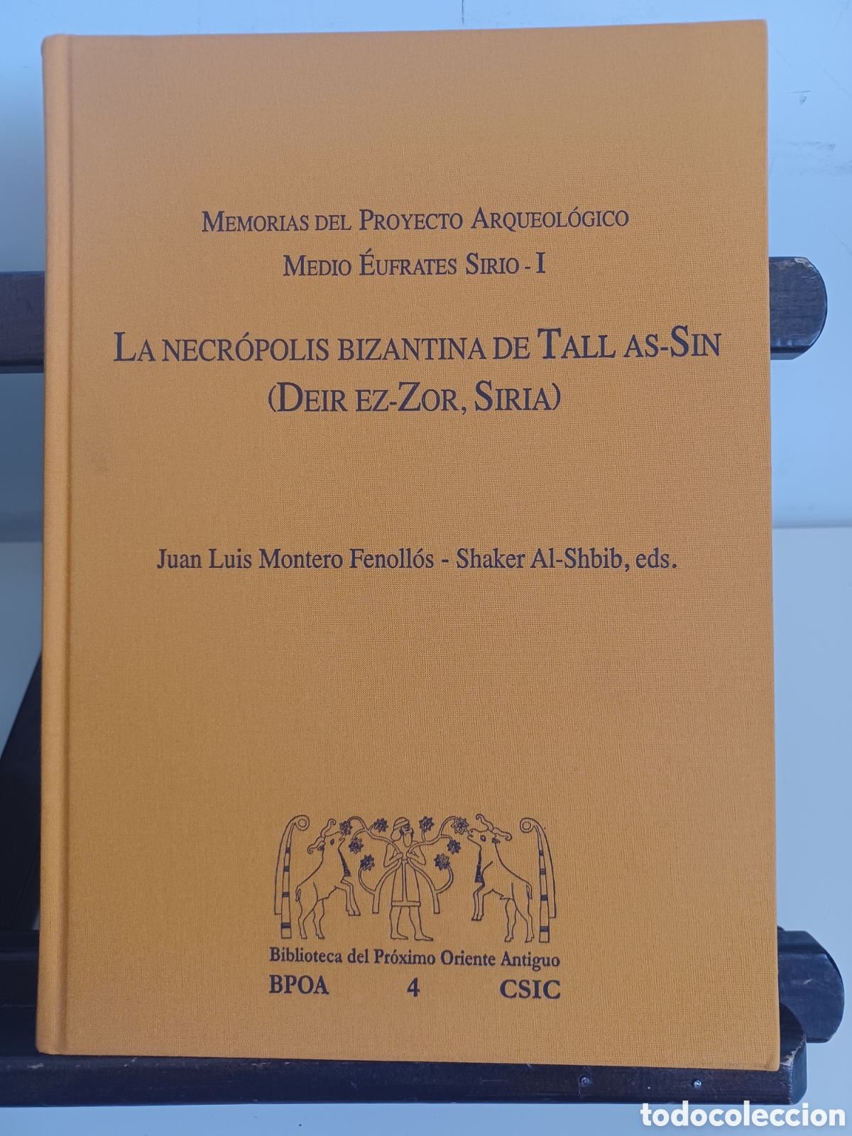 Libros: La necr&oacute;polis bizantina de Tall As-Sin/ Biblioteca del Pr&oacute;ximo Oruente Antiguo/ CSIC, 2008