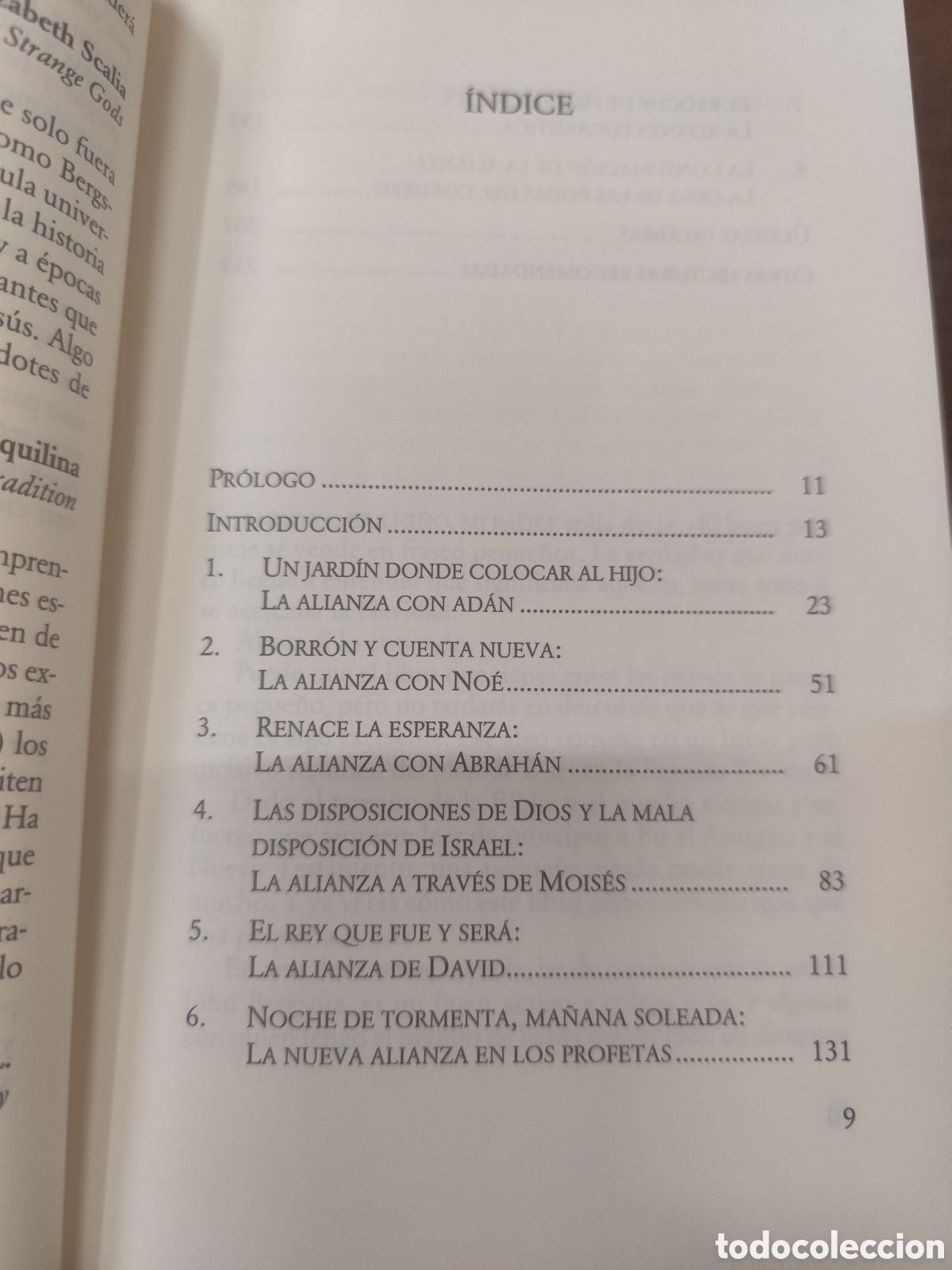 Libros: LA BIBLIA PASO A PASO - BERGSMA,John - Foto 3