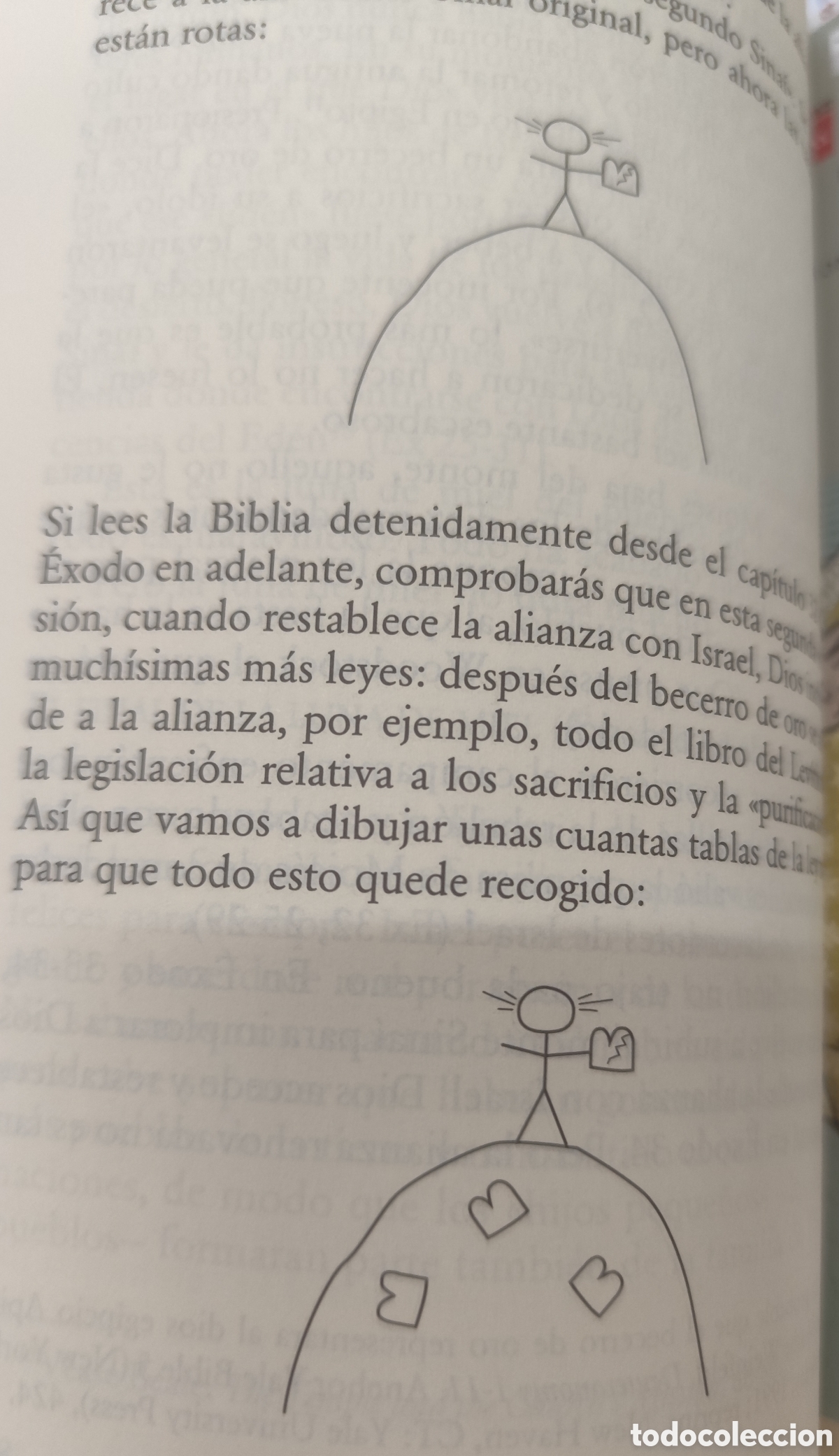 Libros: LA BIBLIA PASO A PASO - BERGSMA,John - Foto 5