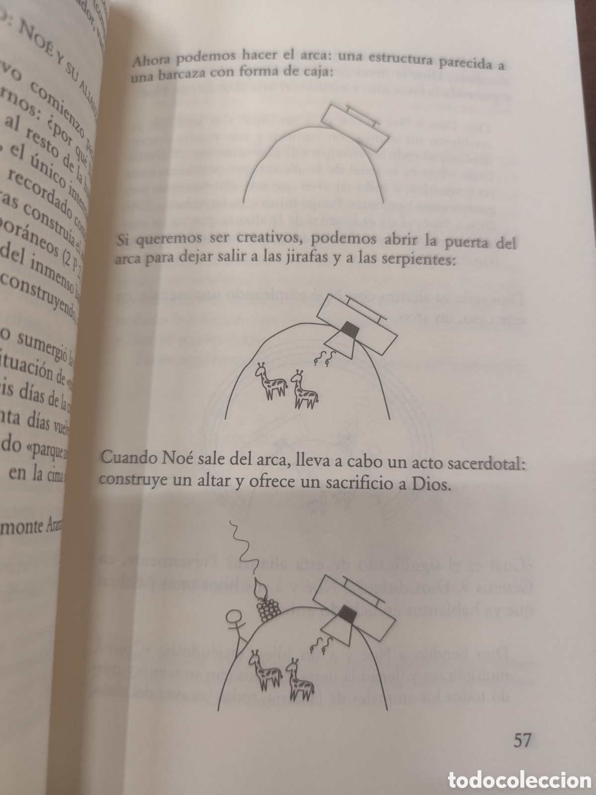 Libros: LA BIBLIA PASO A PASO - BERGSMA,John - Foto 7