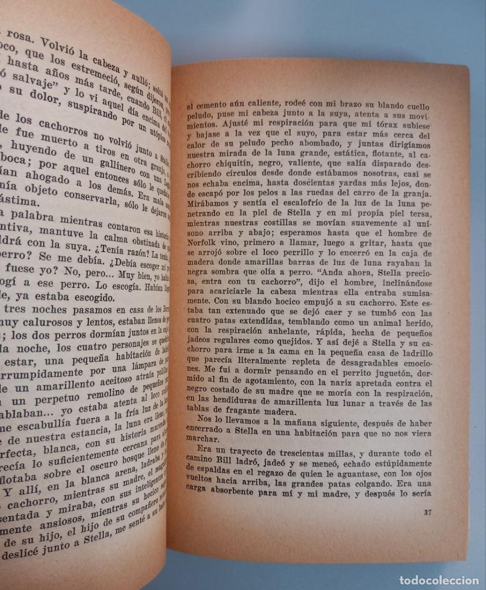 Libros: Un hombre y dos mujeres. - LESSING, Doris: - Foto 4