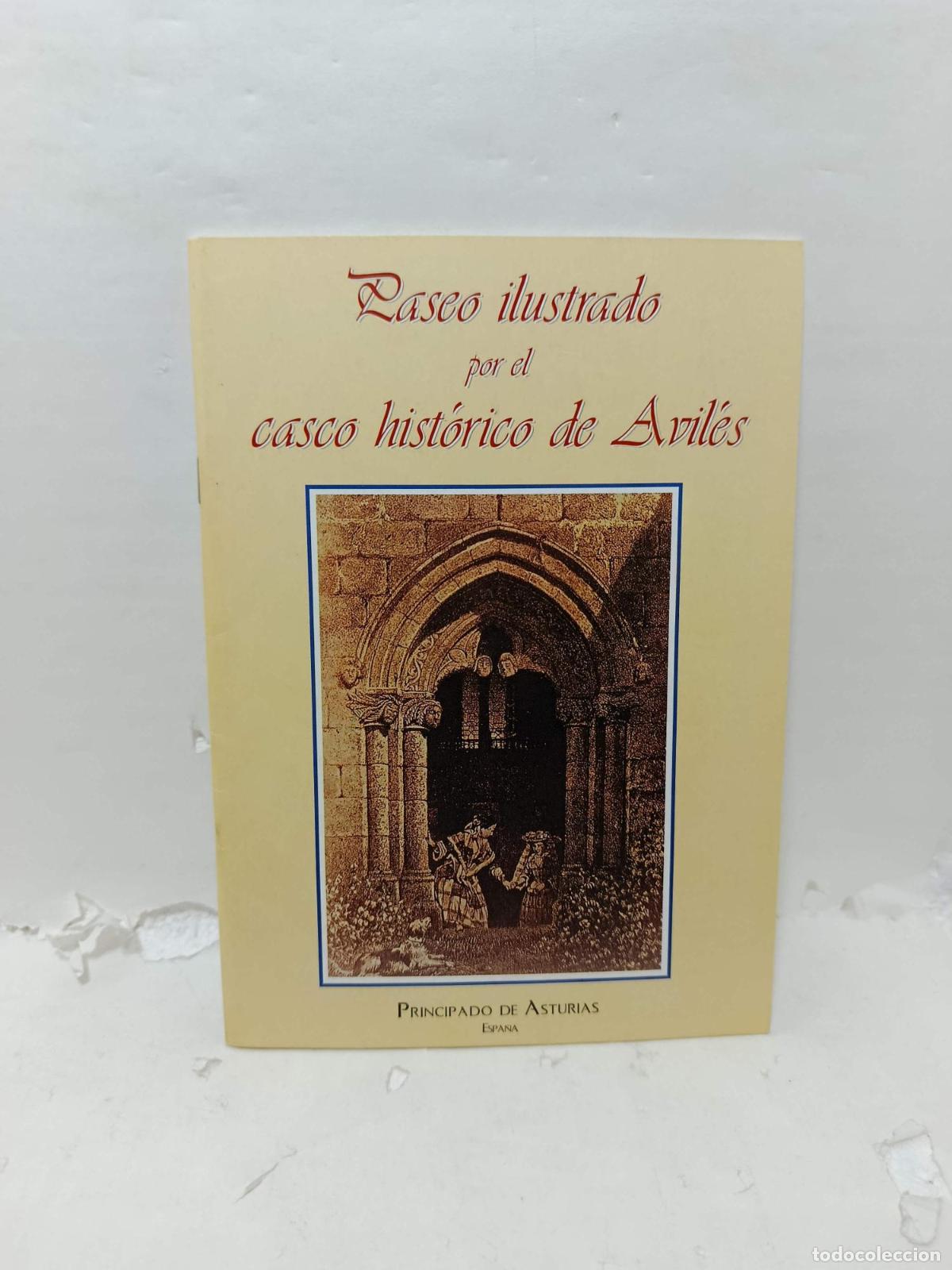 Libros: PASEO ILUSTRADO POR EL CASCO HIST&Oacute;RICO DE AVIL&Eacute;S -