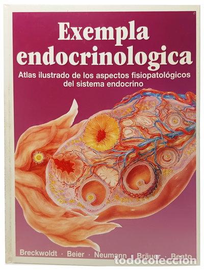 Livros em segunda m&atilde;o: Exempla endocrinol&oacute;gica- 9788478851331