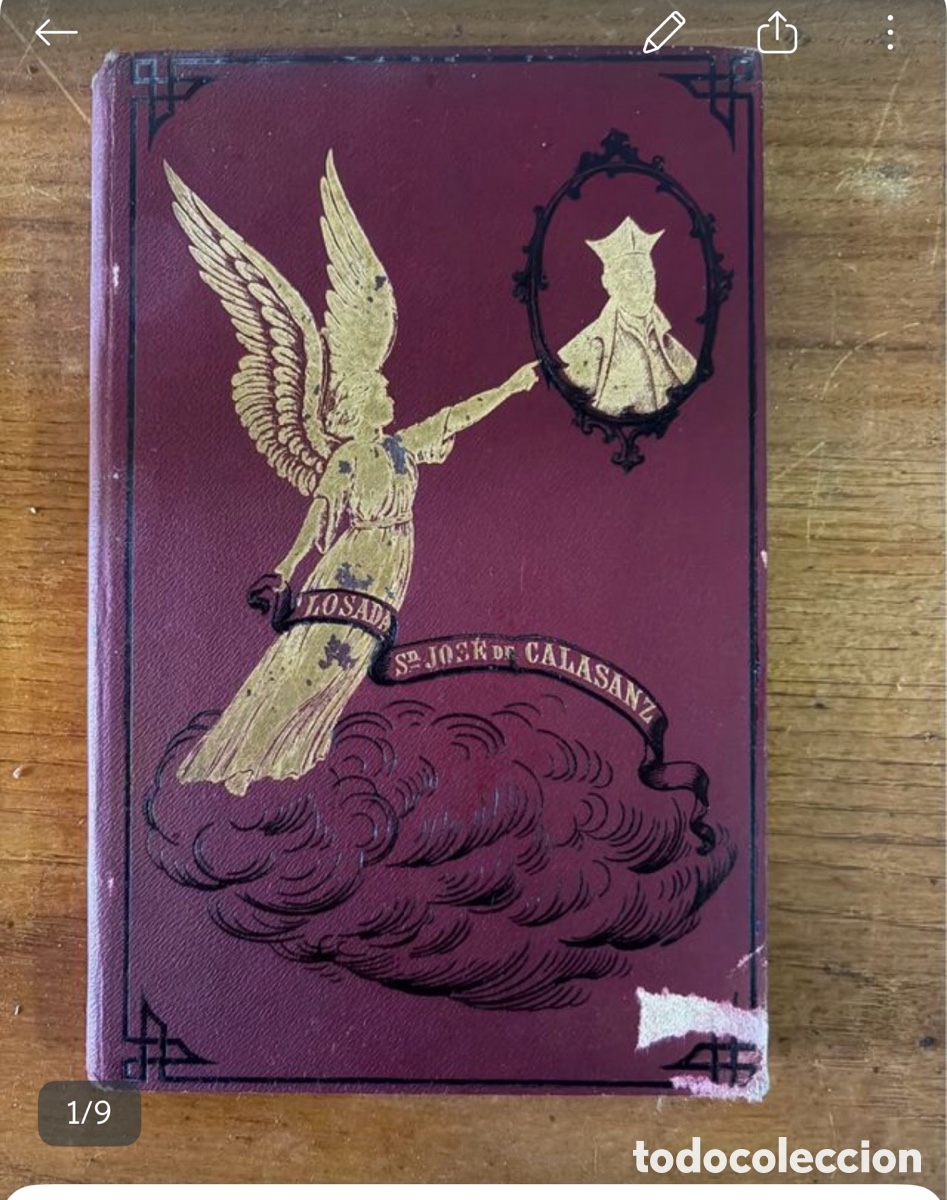 Libros: Vida San Jos&eacute; de Calasanz Cayetano Losada