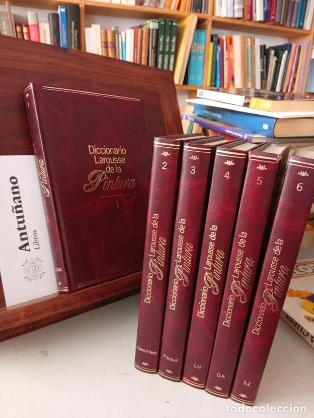 books: Diccionario Larousse de la pintura (6 tomos)