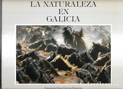 Libros: La Naturaleza en Galicia - Diaz-fierros Viqueira, Francisco - Incafo Archivo Fotogr&aacute;fico