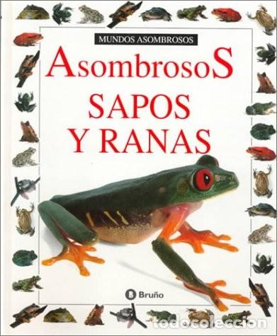 Libros: Asombrosos Sapos y Ranas - Clarke, Barry - Editorial Bru&ntilde;o - Mundos Asombrosos, N&ordm; 5