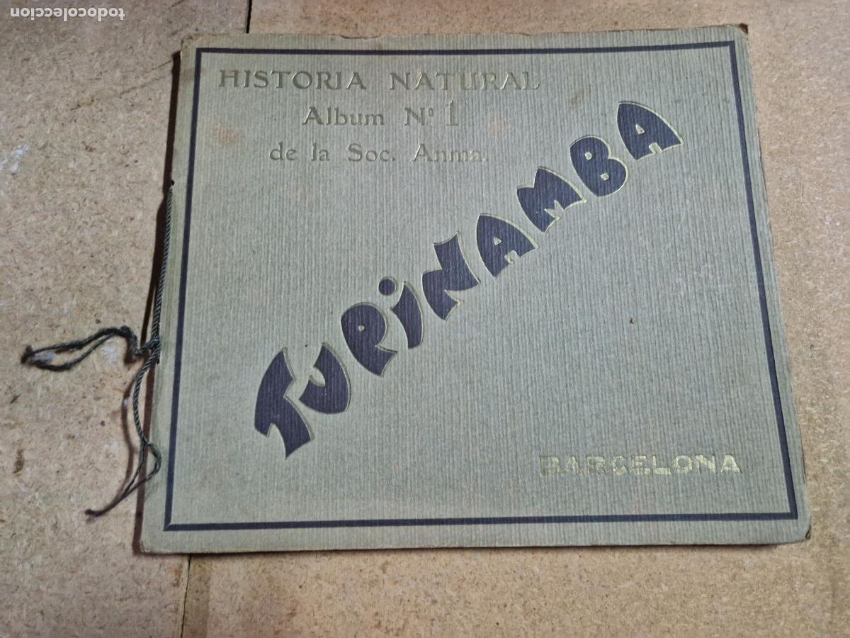 Libros: HISTORIA NATURAL. ALBUM N DE LA SOC 1 ANMA. TURINAMBA.