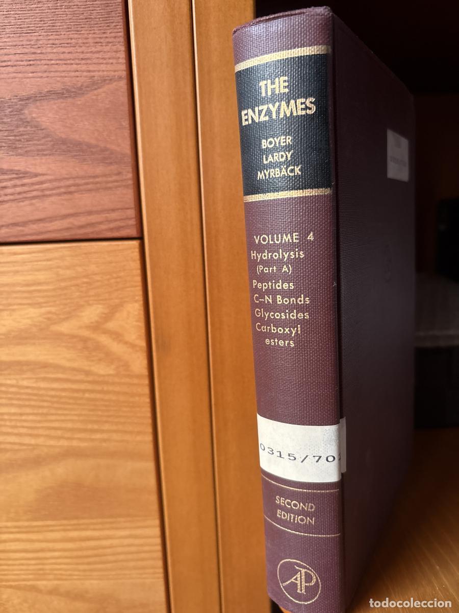 Libros: THE ENZYMES. VOLUMEN 4. HYDROLLYTIC CLEAVAGE PARTE A - PAUL BOYER/HENRY LARDY Y kARL MYRB&Auml;CK TDK601