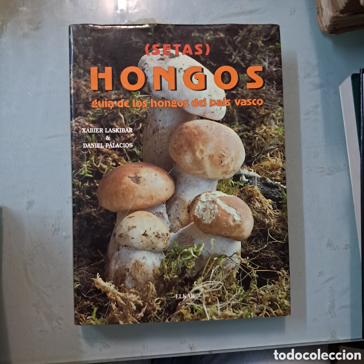 B&uuml;cher: Setas, hongos, gu&iacute;a de hongos del Pa&iacute;s Vasco, Xabier Laskibar, Elkar