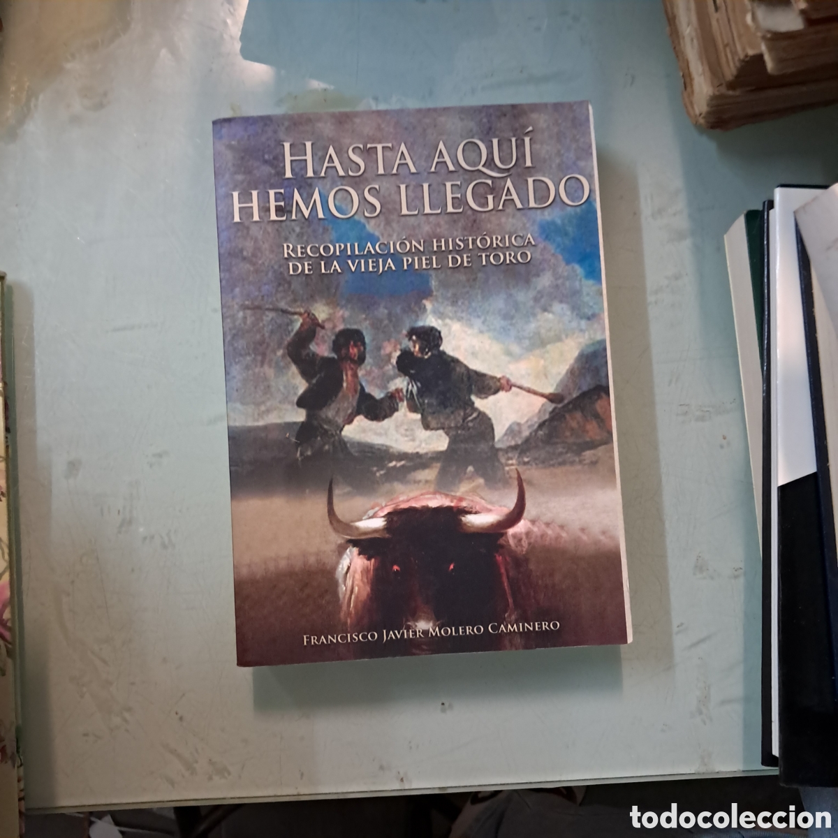 Libros: Hasta aqu&iacute; hemos llegado, Francisco Javier Molero Caminero,