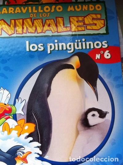 B&uuml;cher: Los Ping&uuml;inos- 9788467422887