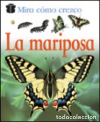 Libros: La Mariposa- 9788423668885