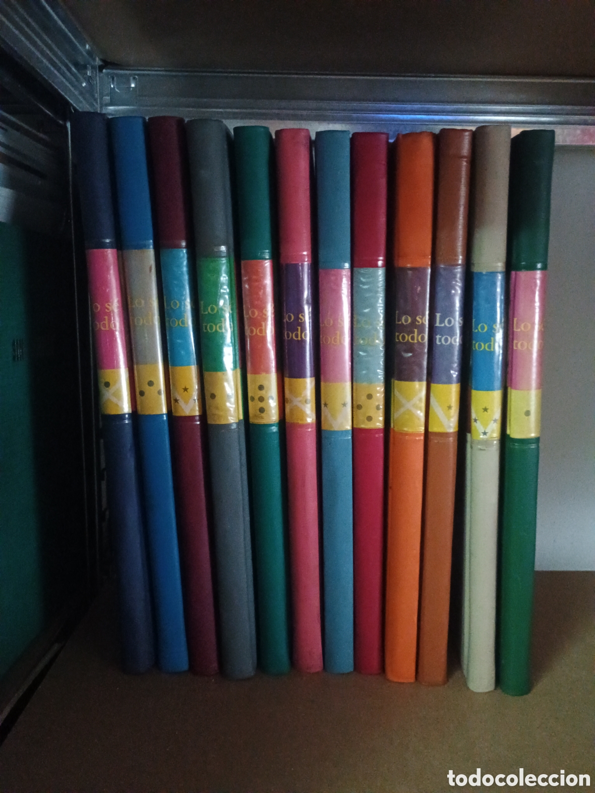 Libros: Lo s&eacute; todo doce tomos y de enciclopedia