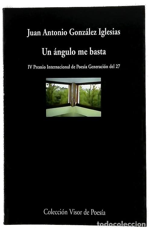 Libros: Un &aacute;ngulo me basta - Gonz&aacute;lez Iglesias, Juan Antonio