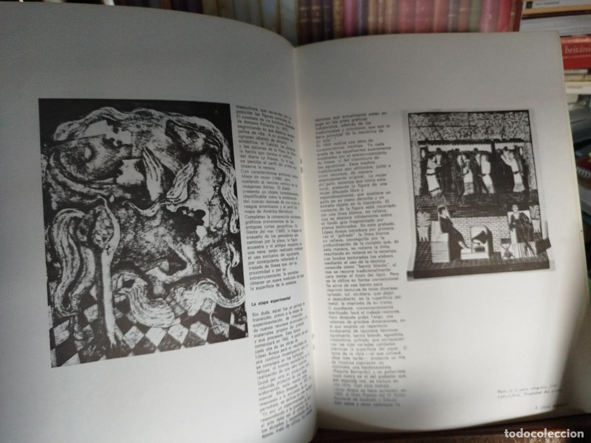 Libros: Fernando L&oacute;pez Anaya - L&oacute;pez Anaya, Jorge - Foto 5