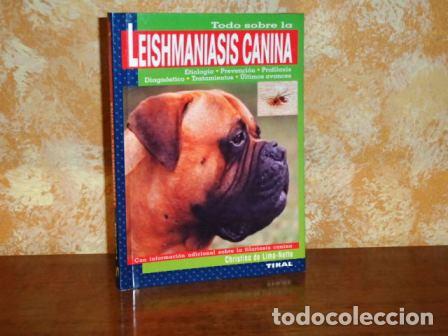 Livres: TODO SOBRE LA LEISHMANIASIS CANINA - Lima-Netto, Christina de