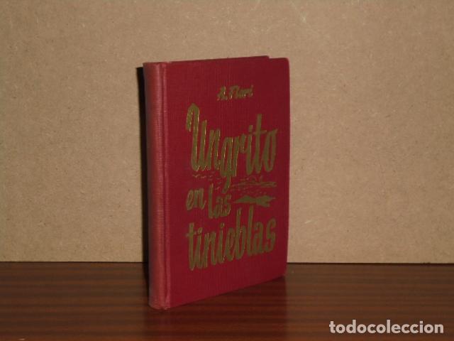 books: UN GRITO EN LAS TINIEBLAS - Flori, Angel - Flory