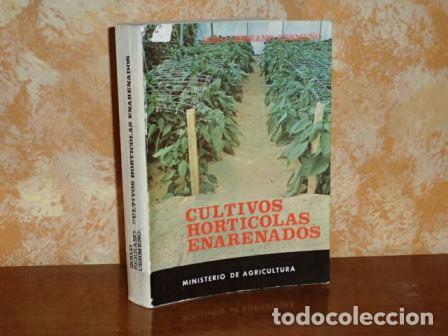 Libri di seconda mano: CULTIVOS HORT&Iacute;COLAS ENARENADOS - Serrano Cerme&ntilde;o, Zoilo