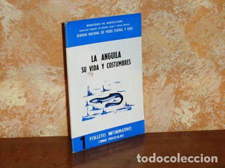 Libri di seconda mano: LA ANGUILA - Su vida y costumbres - Elegido Alonso-Geta, Maximiliano
