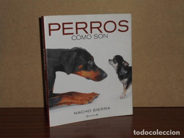 Livres: PERROS - C&Oacute;MO SON - Sierra, Nacho