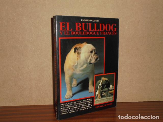 Libros: EL BULLDOG Y EL BOULEDOGUE FRANC&Eacute;S - Cuomo, Umberto