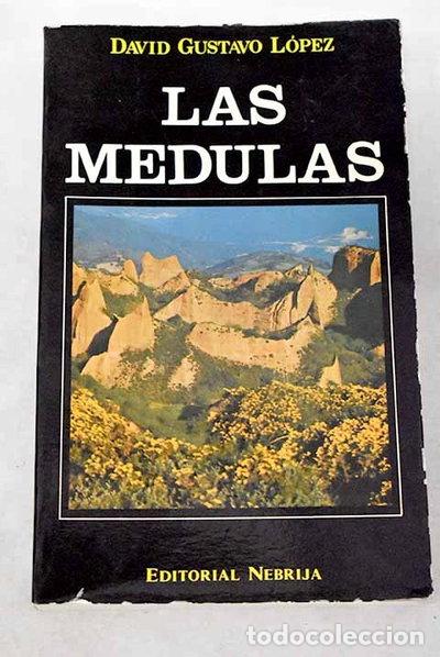 Libri di seconda mano: Las M&eacute;dulas- 9788439140115