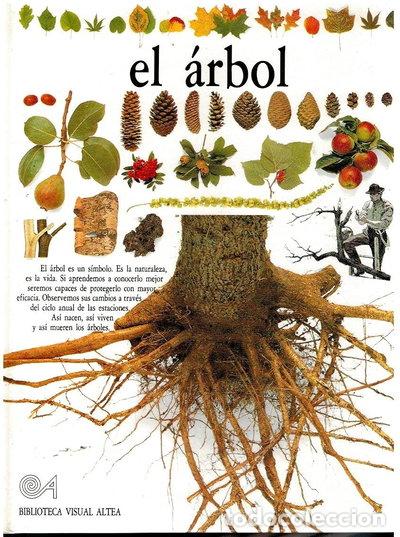 Libros: El &aacute;rbol- 9788437237084
