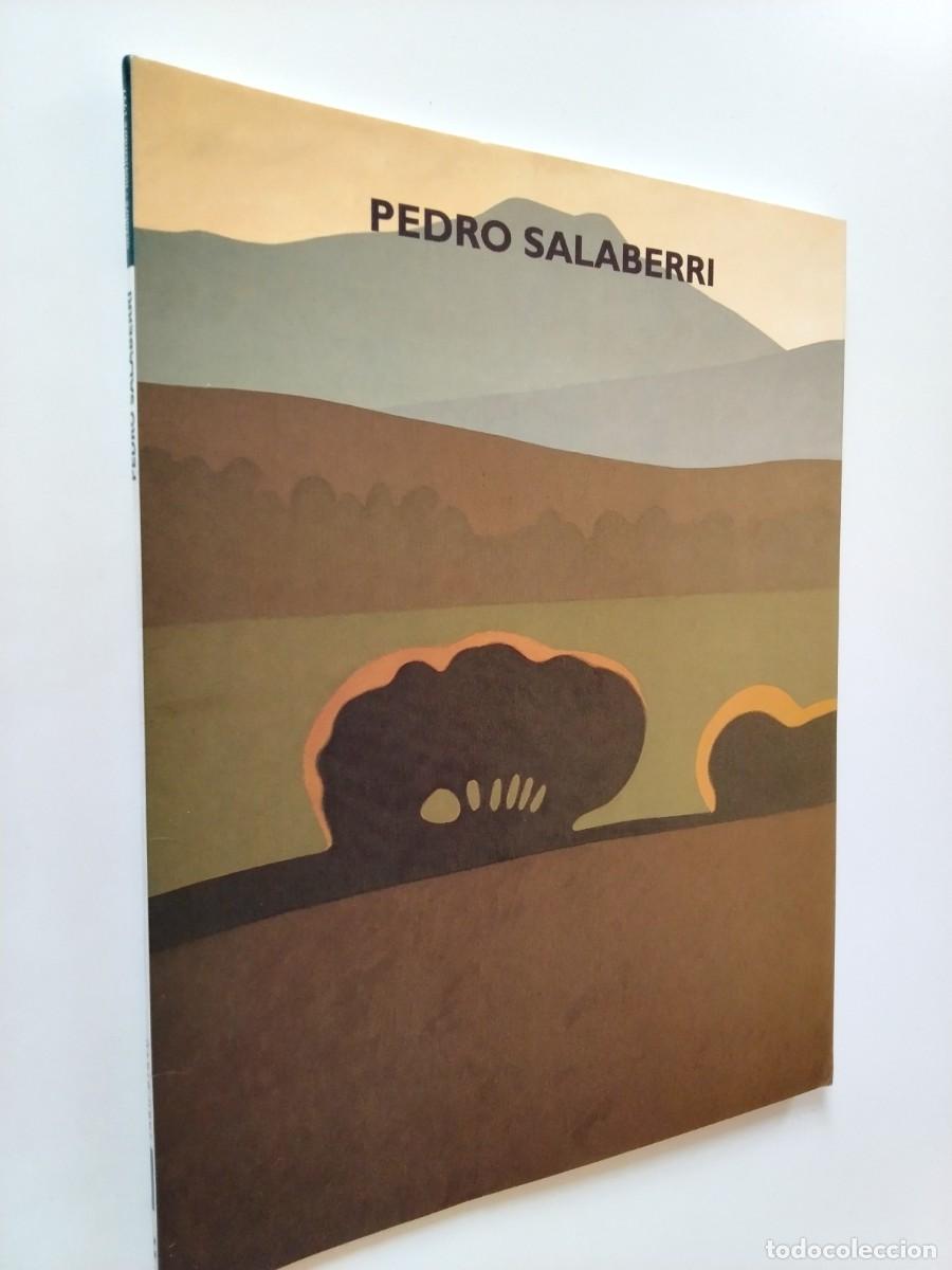 Livres: Pablo Salaberri - Pedro Salaberri. Exposici&oacute;n en la Sala de Cultura Juan Bravo 1997