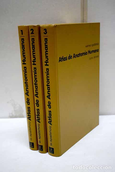 Libros: Atlas de anatom&iacute;a humana.- Spalteholz, Werner