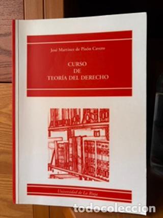 Libros: Curso de Teor&iacute;a del Derecho - Jos&eacute; Mart&iacute;nez de Pis&oacute;n Cavero tdk985