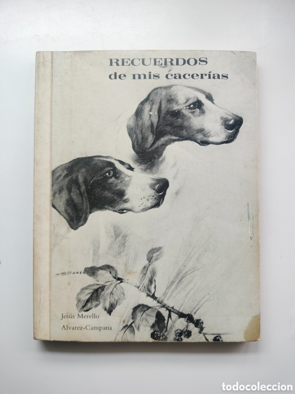 Libros: RECUERDOS DE MIS CACER&Iacute;AS. JES&Uacute;S MERELLO -CAMPANA. 1971. EL PUERTO DE SANTA MAR&Iacute;A. C&Aacute;DIZ.