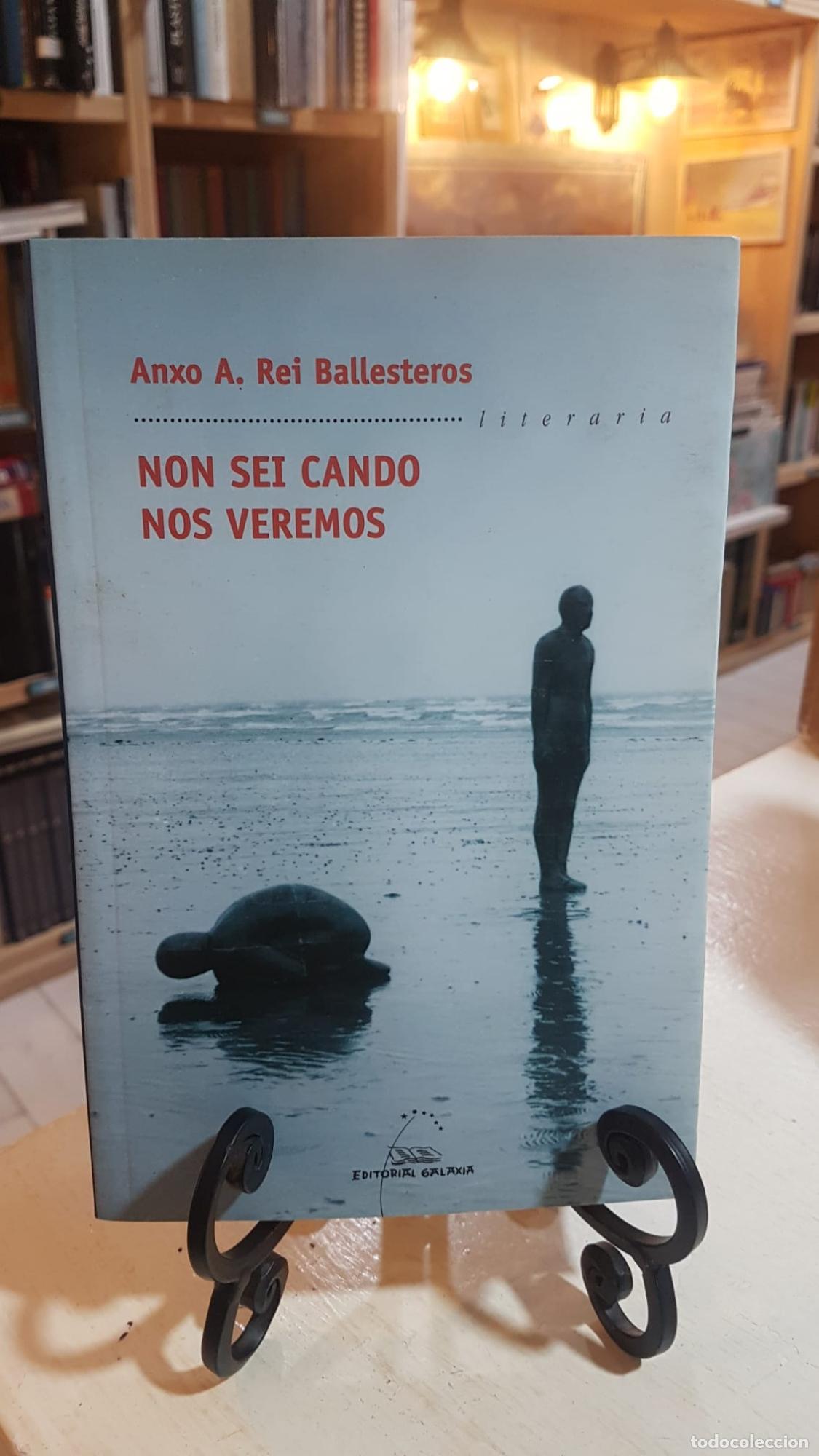 Libros: Non sei cando nos veremos -